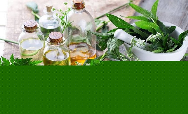 Obat Alami untuk Hipertensi