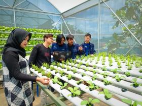 Program Kreatif di Universitas Swasta Bandung yang Menarik Minat Mahasiswa