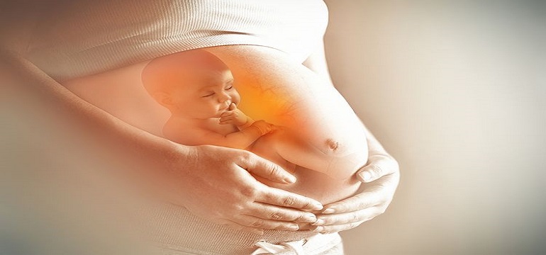4 Makanan Ini Baik Dikonsumsi Pada Bagi Ibu Hamil