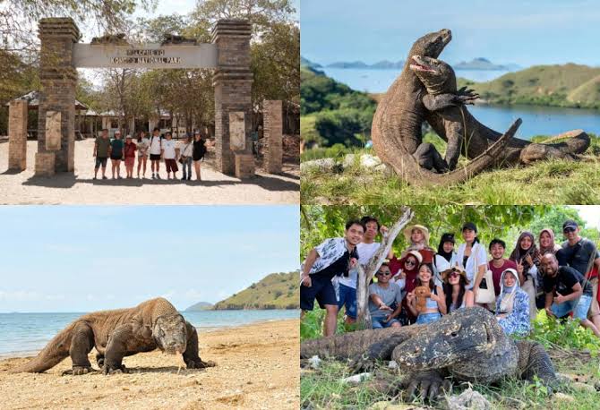 Komodo Boat Tour Cara Seru Menjelajahi Keindahan Taman Nasional Komodo