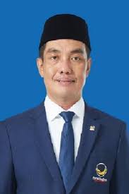 Fauzi H Amro, Suara Muda Sumsel I di Parlemen RI